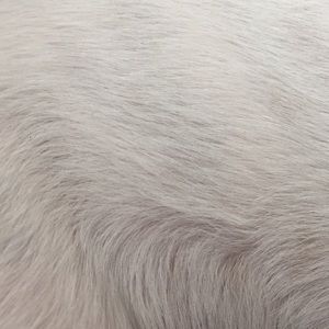 Meet your Posher, Gabby